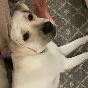 Meet your Posher, Janessa